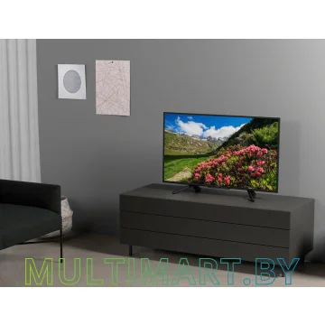 Телевизор Sony KDL-43RF453 картинка 5